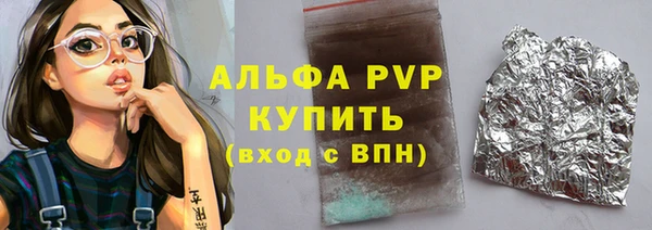 шишки Осинники